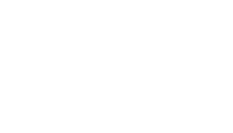 Adelphi Values